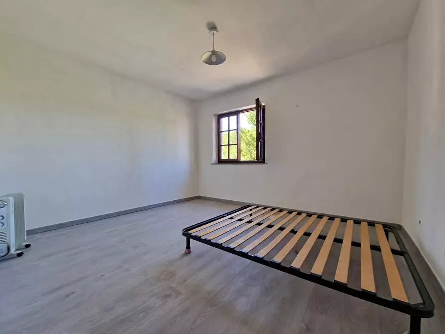 Immagine 19 di Terratetto in vendita  a Crespina Lorenzana