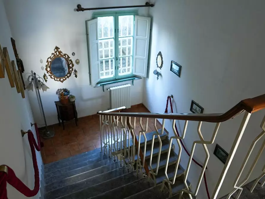 Immagine 10 di Villa in vendita  a Vicopisano