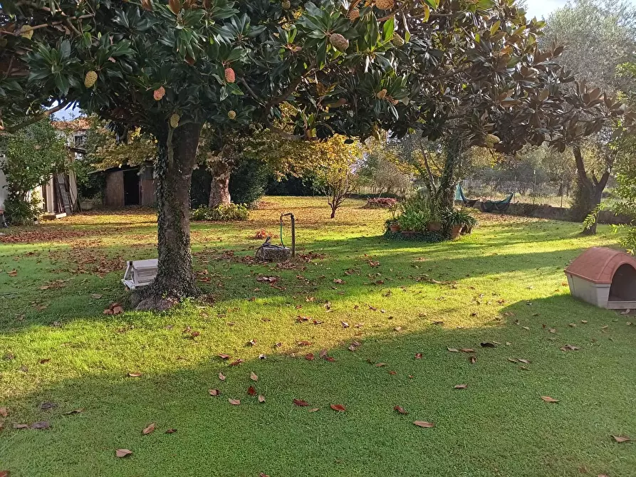 Immagine 1 di Villa in vendita  a Massa