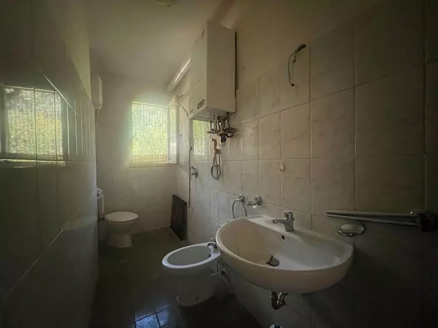 Immagine 14 di Appartamento in vendita  a Vecchiano