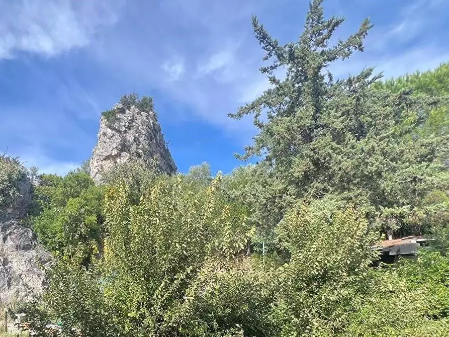 Immagine 15 di Appartamento in vendita  a Vecchiano