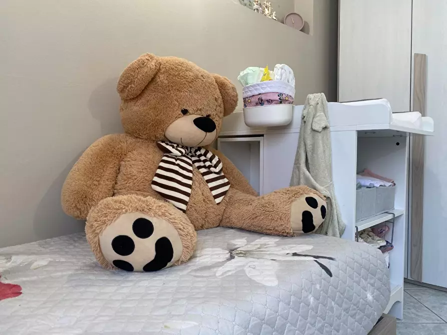 Immagine 24 di Terratetto in vendita  a Santa Maria A Monte