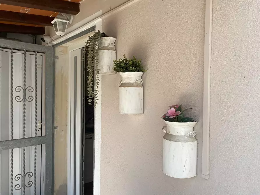 Immagine 35 di Terratetto in vendita  a Santa Maria A Monte