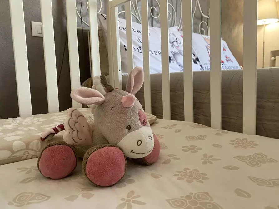 Immagine 18 di Terratetto in vendita  a Santa Maria A Monte