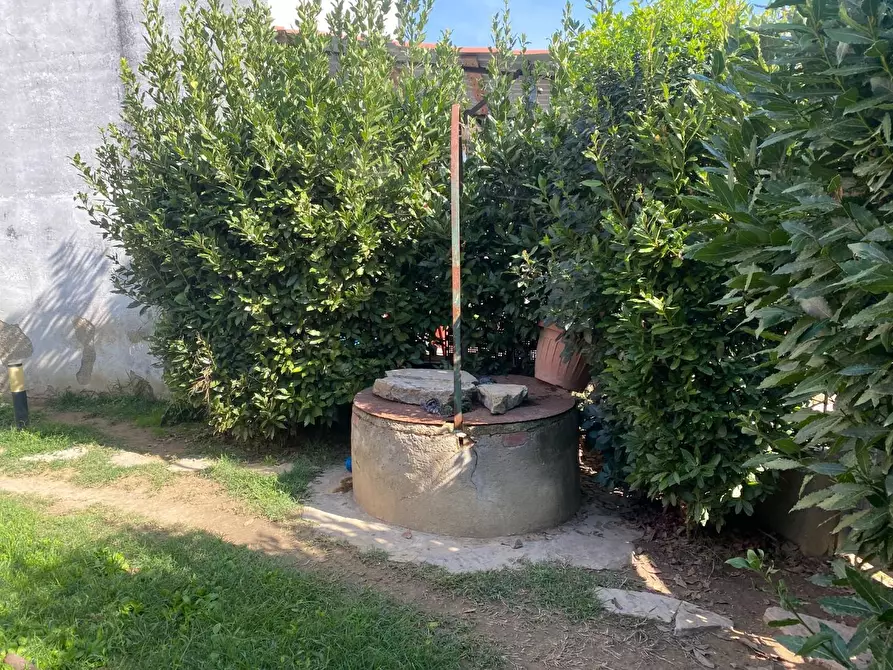 Immagine 42 di Terratetto in vendita  a Santa Maria A Monte