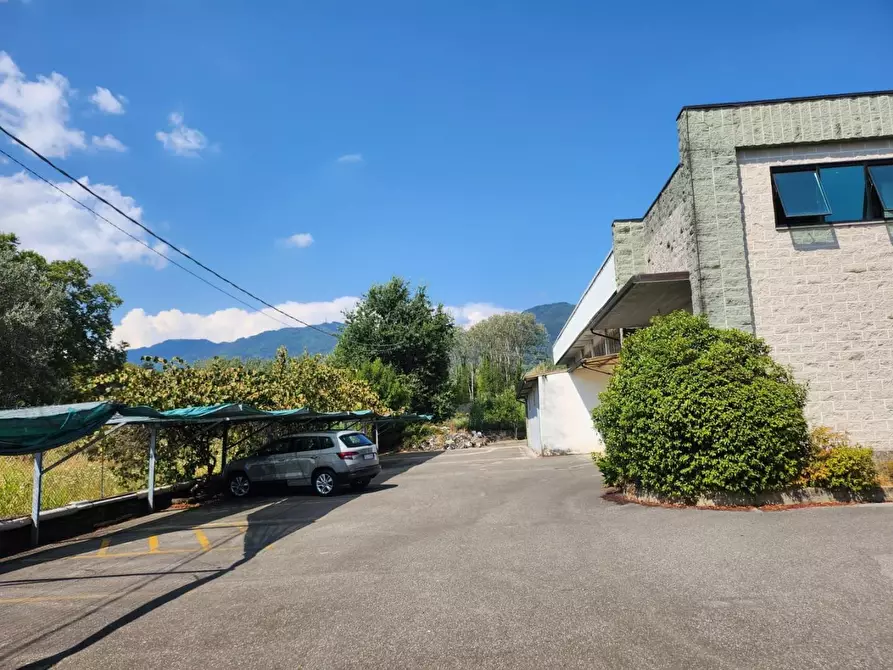 Immagine 19 di Attività artigianale in vendita  a Capannori