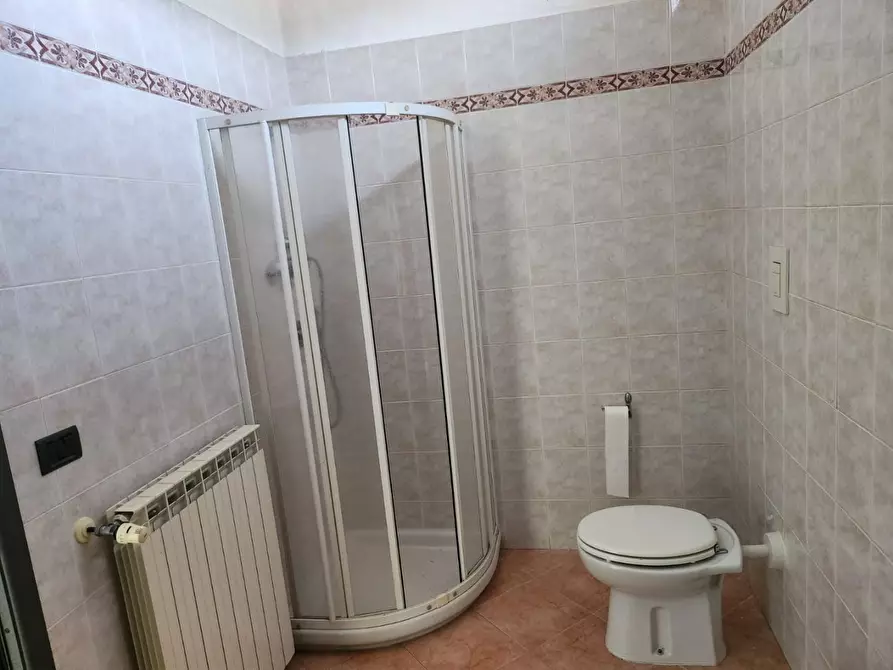 Immagine 24 di Attività artigianale in vendita  a Capannori