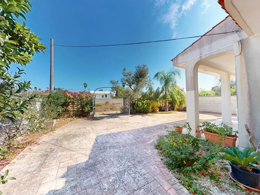 Immagine 18 di Villa in vendita  a Porto Cesareo