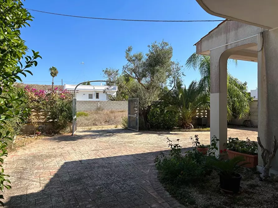 Immagine 15 di Villa in vendita  a Porto Cesareo