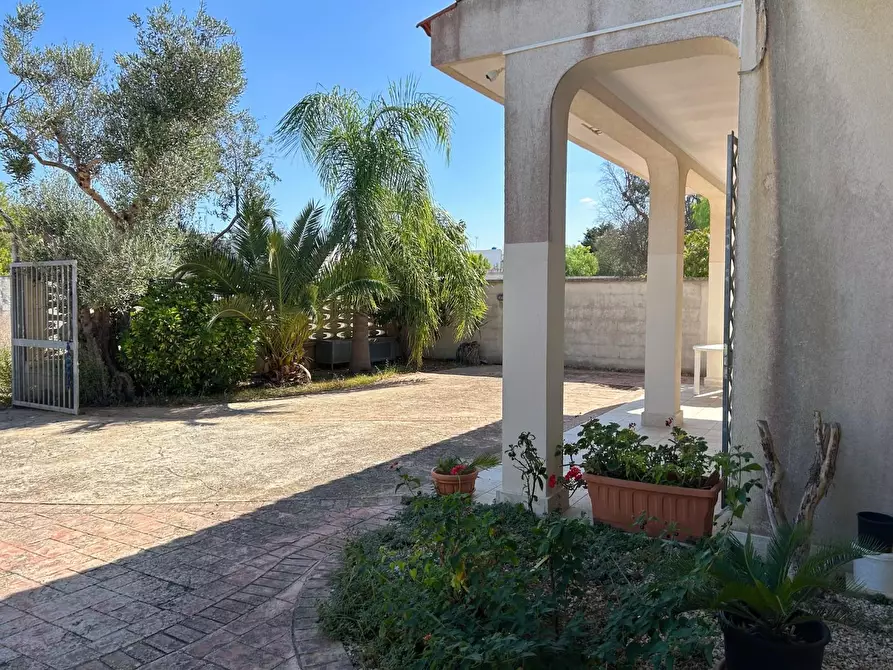 Immagine 19 di Villa in vendita  a Porto Cesareo