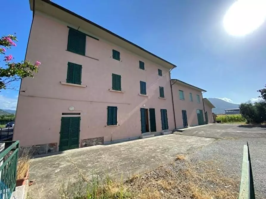 Immagine 2 di Terratetto in vendita  a Pieve A Nievole