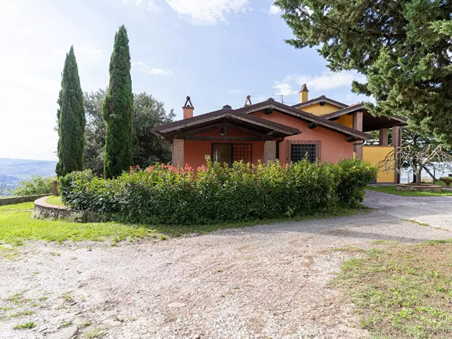 Immagine 11 di Casa colonica in vendita  a Capraia E Limite