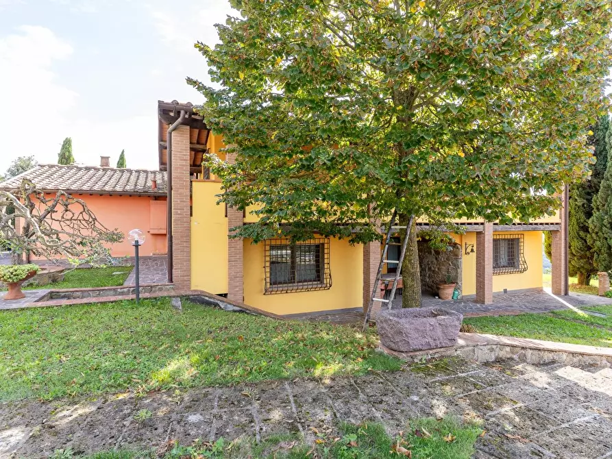 Immagine 24 di Casa colonica in vendita  a Capraia E Limite