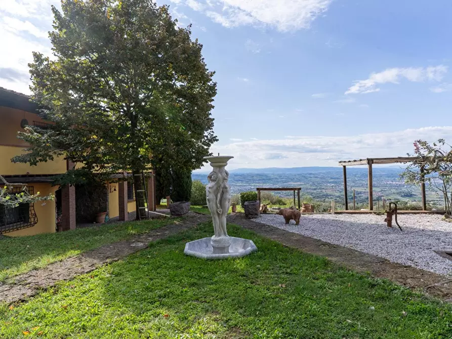 Immagine 16 di Casa colonica in vendita  a Capraia E Limite