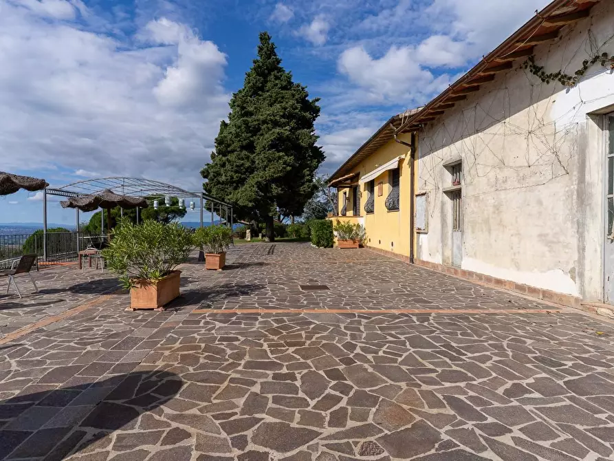 Immagine 55 di Casa colonica in vendita  a Capraia E Limite