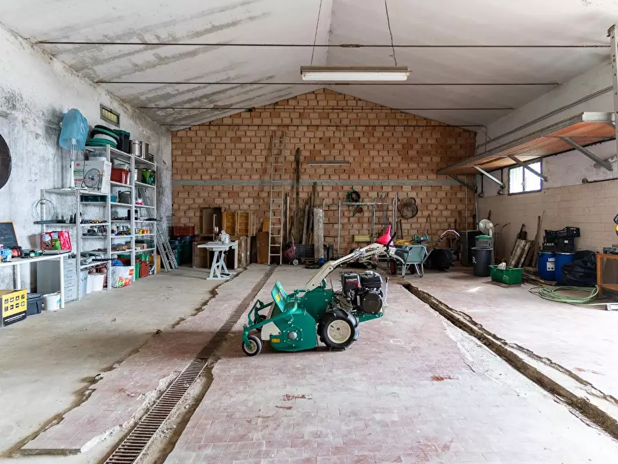 Immagine 82 di Casa colonica in vendita  a Capraia E Limite