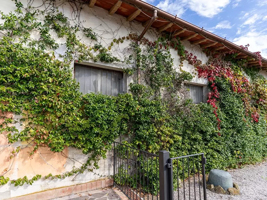 Immagine 40 di Casa colonica in vendita  a Capraia E Limite