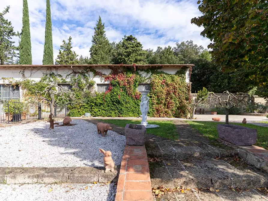 Immagine 39 di Casa colonica in vendita  a Capraia E Limite