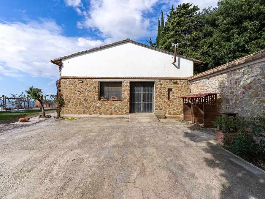 Immagine 42 di Casa colonica in vendita  a Capraia E Limite