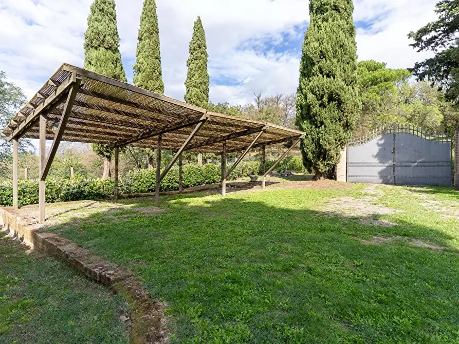 Immagine 67 di Casa colonica in vendita  a Capraia E Limite