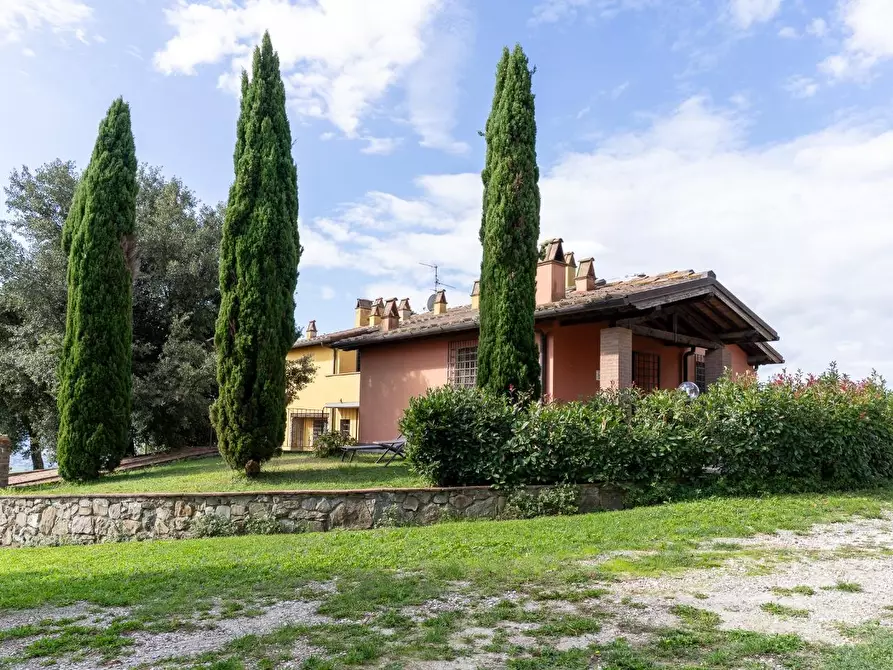 Immagine 18 di Casa colonica in vendita  a Capraia E Limite