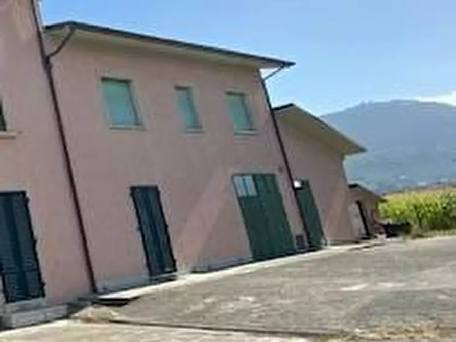 Immagine 1 di Terratetto in vendita  a Pieve A Nievole