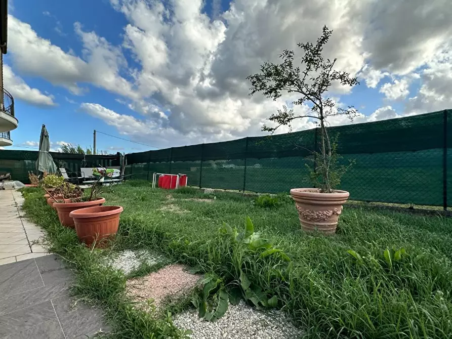 Immagine 33 di Appartamento in vendita  a Ponsacco