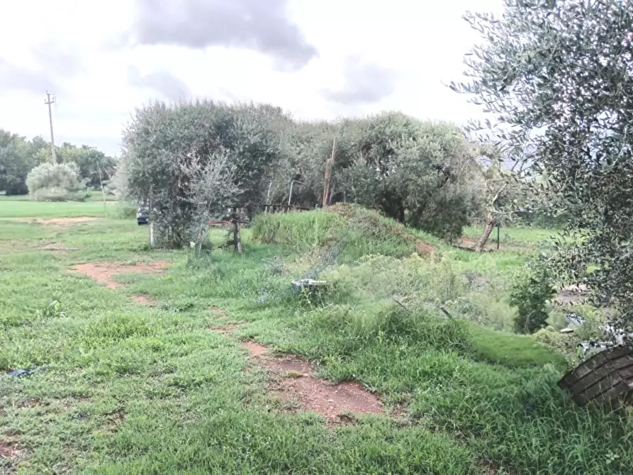 Immagine 29 di Terratetto in vendita  a Castelfranco Di Sotto