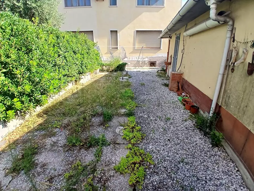 Immagine 18 di Appartamento in vendita  a San Giuliano Terme