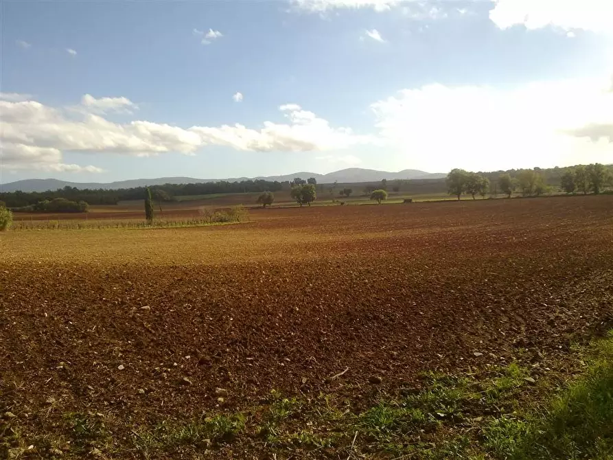 Immagine 2 di Casa quadrifamiliare in vendita  a San Gimignano