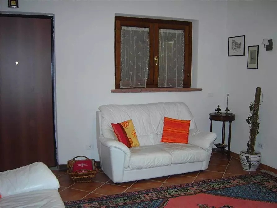 Immagine 11 di Villa in vendita  a Santa Fiora