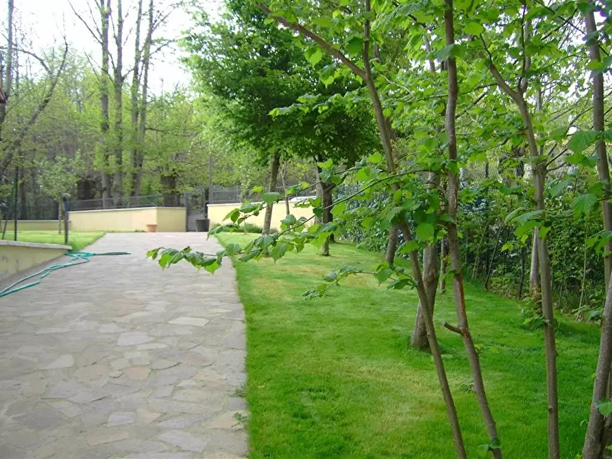 Immagine 4 di Villa in vendita  a Santa Fiora