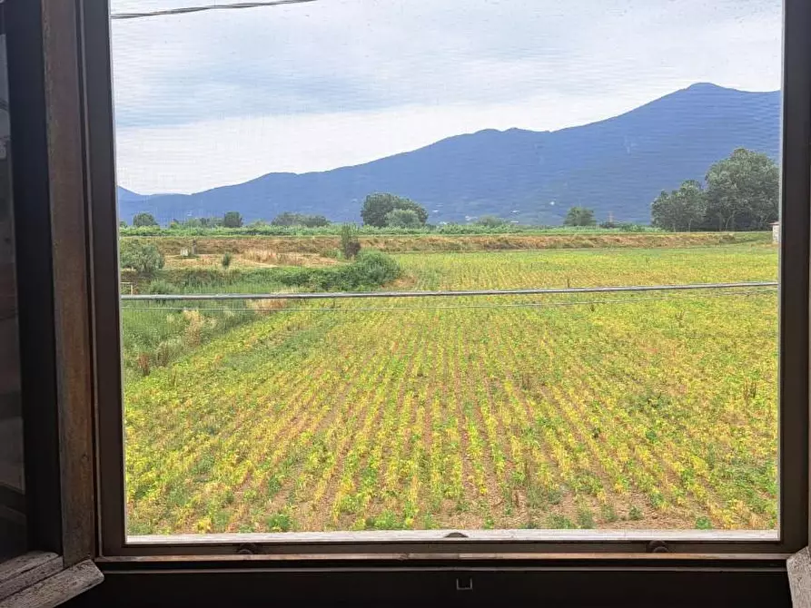 Immagine 2 di Villa in vendita  a Cascina