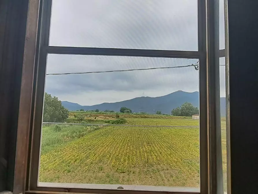 Immagine 3 di Villa in vendita  a Cascina