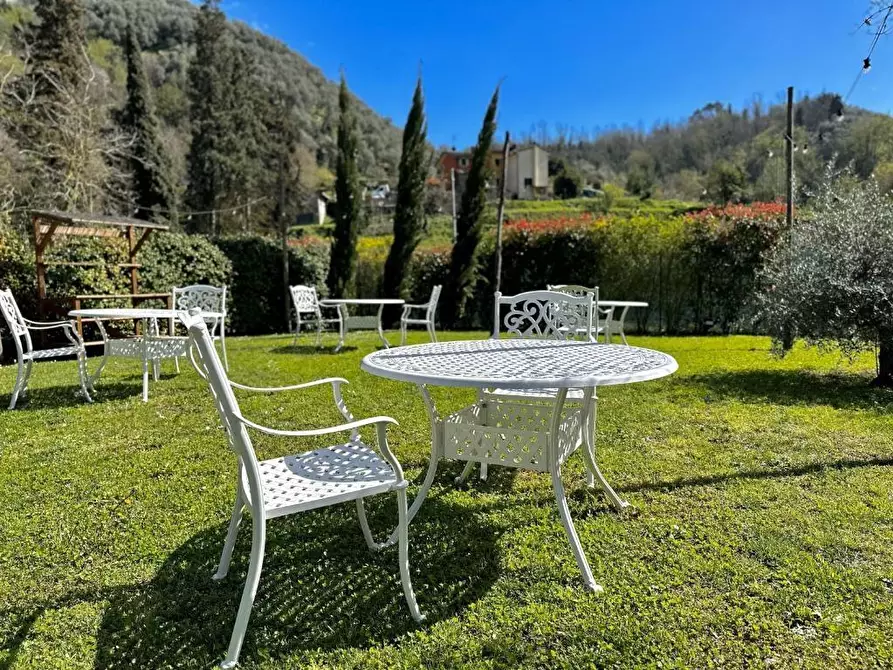 Immagine 3 di Attività commerciale in vendita  a Camaiore