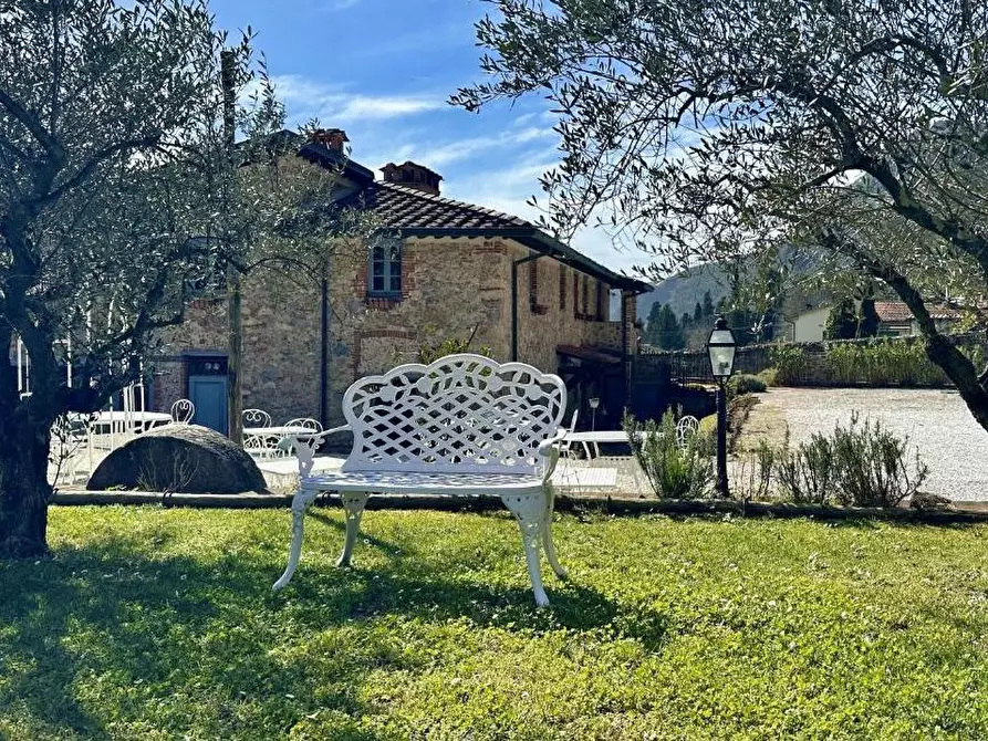 Immagine 2 di Attività commerciale in vendita  a Camaiore