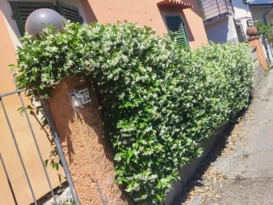 Immagine 9 di Terratetto in affitto  a Montignoso