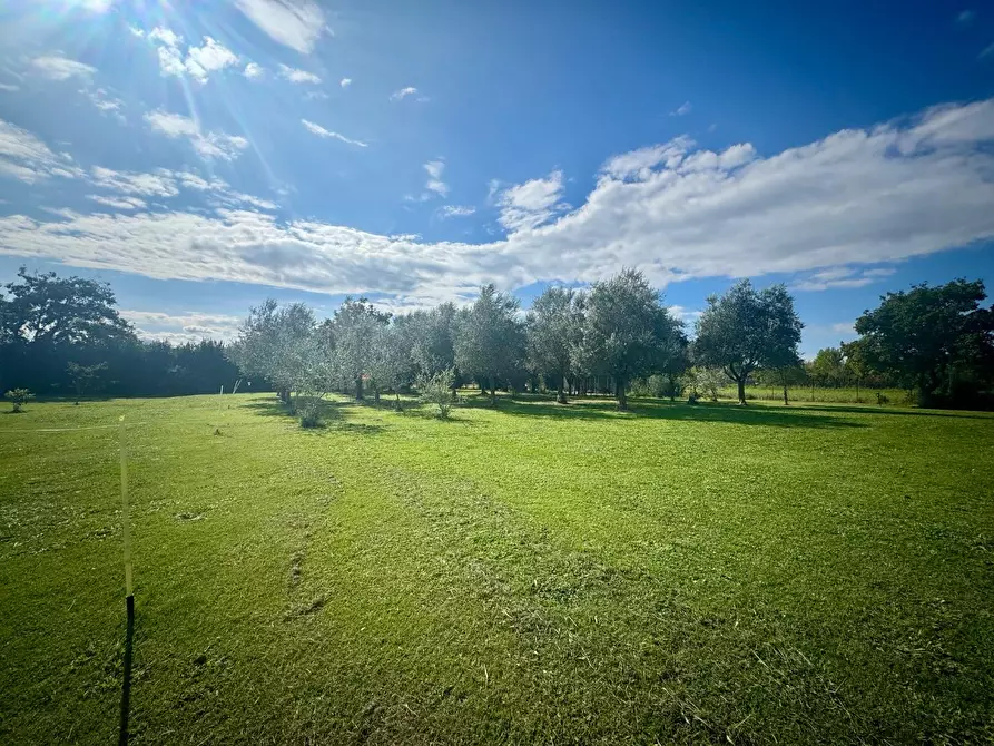 Immagine 18 di Casa colonica in vendita  a Santa Croce Sull'arno