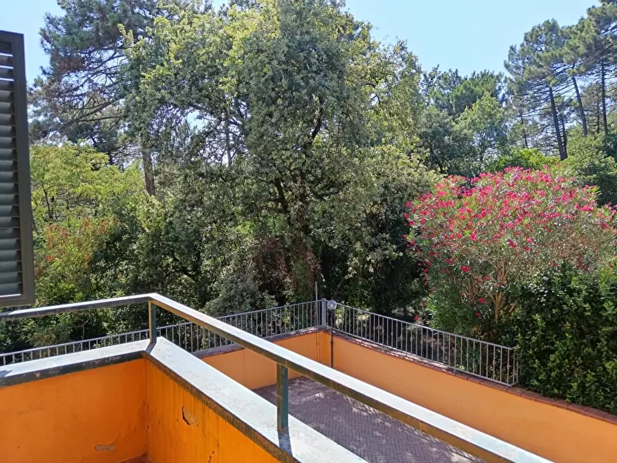 Immagine 17 di Appartamento in vendita  a Montecarlo