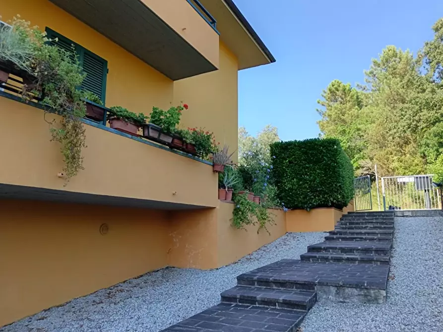 Immagine 4 di Appartamento in vendita  a Montecarlo