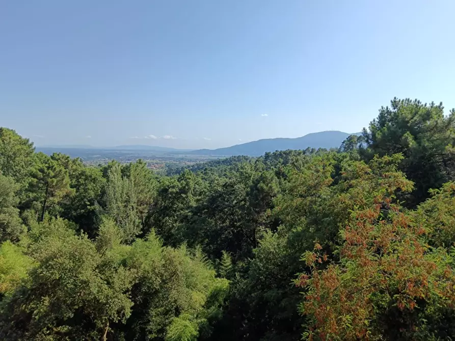 Immagine 15 di Appartamento in vendita  a Montecarlo