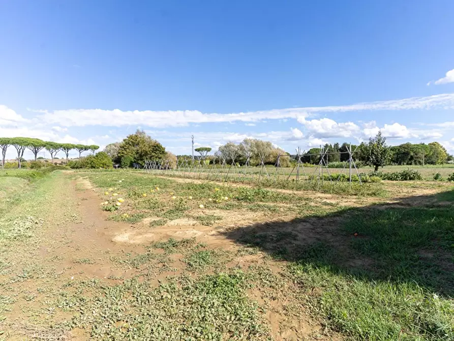 Immagine 59 di Villa in vendita  a Empoli