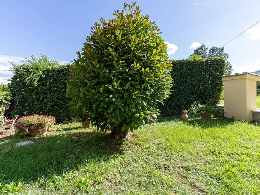 Immagine 11 di Villa in vendita  a Empoli