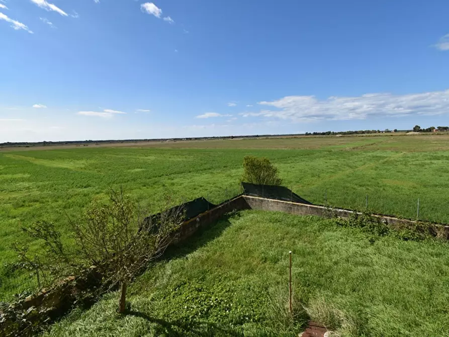 Immagine 2 di Villa in vendita  a Pisa