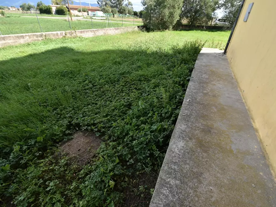 Immagine 42 di Villa in vendita  a Pisa