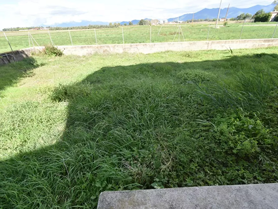 Immagine 40 di Villa in vendita  a Pisa