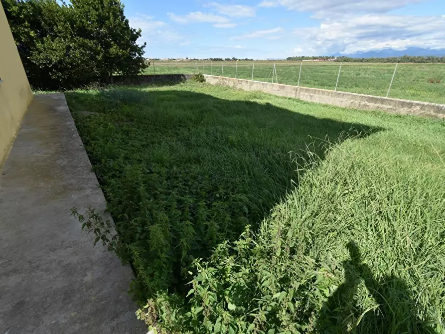 Immagine 43 di Villa in vendita  a Pisa