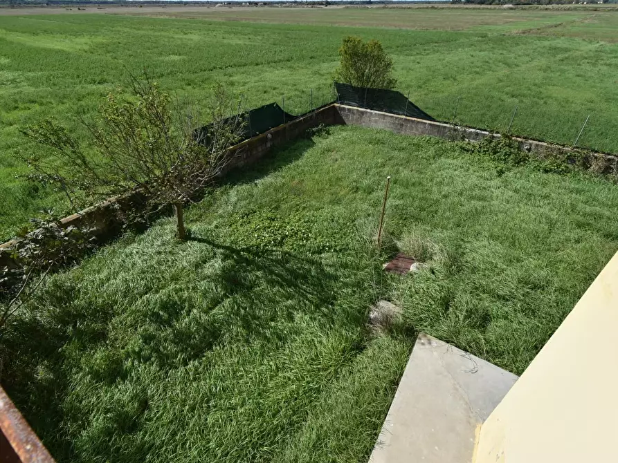 Immagine 3 di Villa in vendita  a Pisa