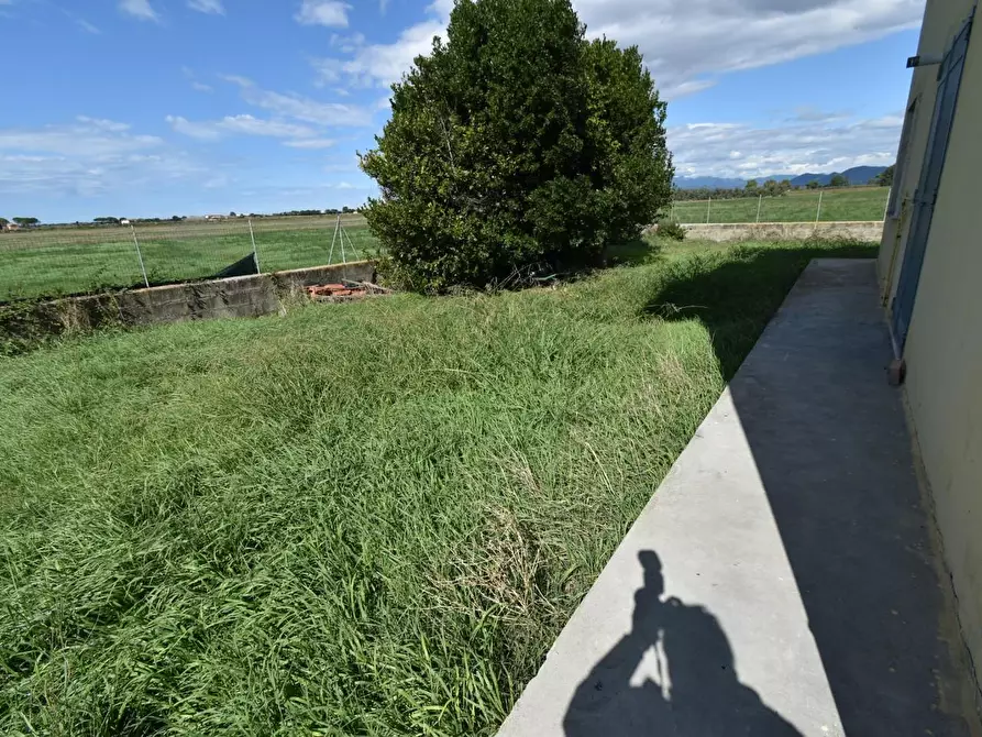 Immagine 38 di Villa in vendita  a Pisa