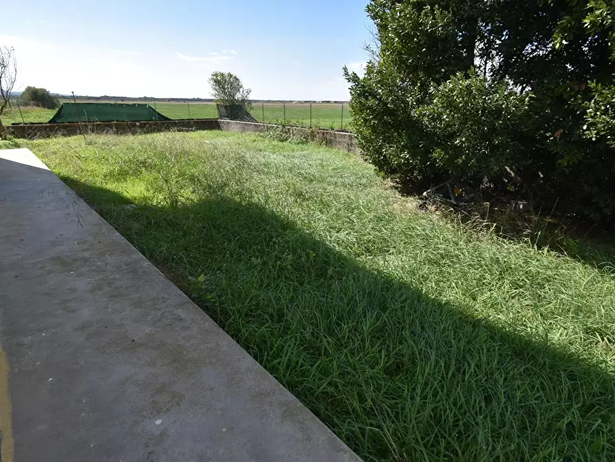 Immagine 41 di Villa in vendita  a Pisa